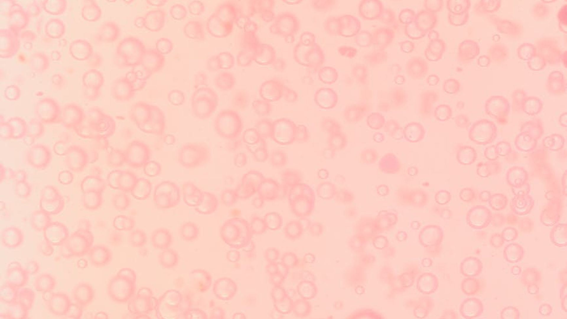 Abstract soft background with gentle color gradients.